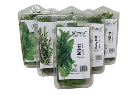 are evergreen herbs international good quality
